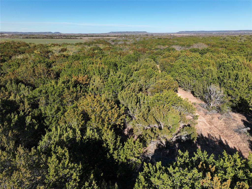 Lemons Gap Ranch - Land