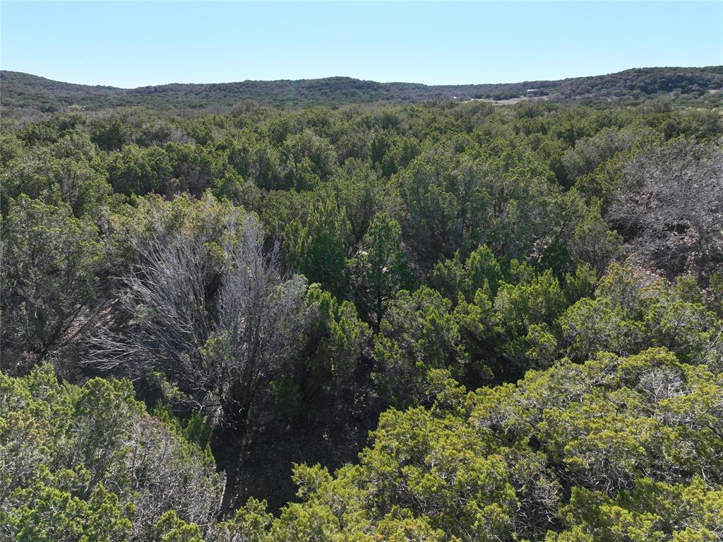 Lemons Gap Ranch - Land