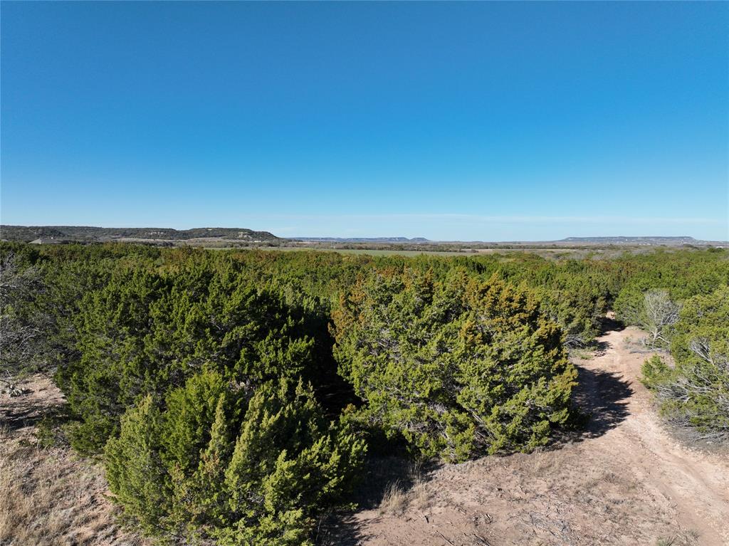 Lemons Gap Ranch - Land