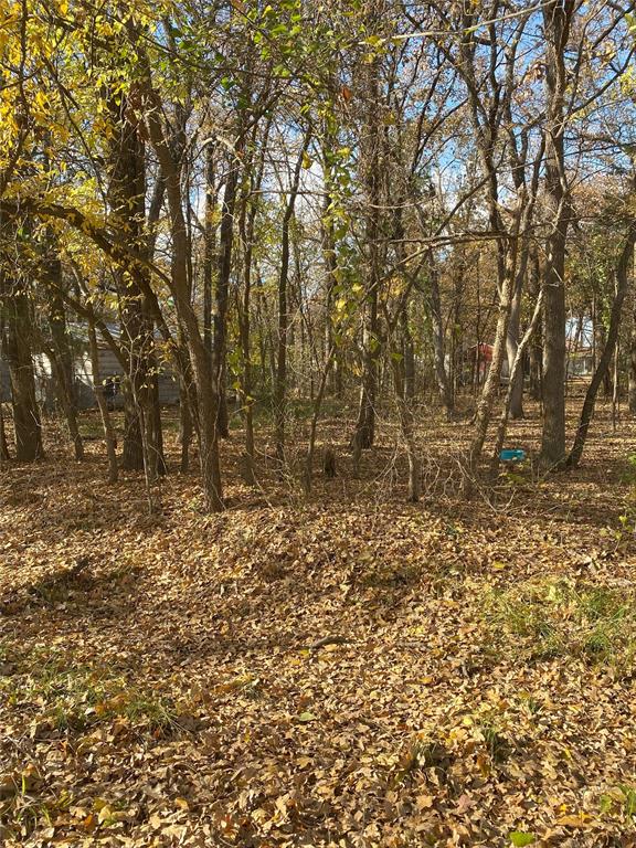 Vacant Treed Residential City Lot Available to build your lake home.  Short distance to Lake Tawakoni with City Sewer & Water Available.  Seller does not have a Survey.  Check with the City of West Tawakoni for any building restrictions.
