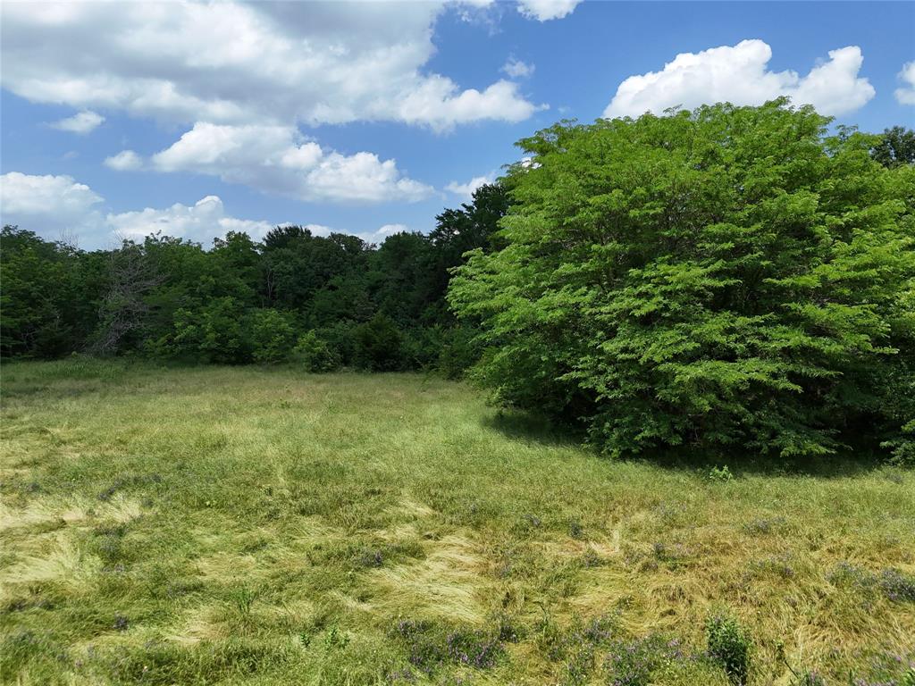 A0570 - Land