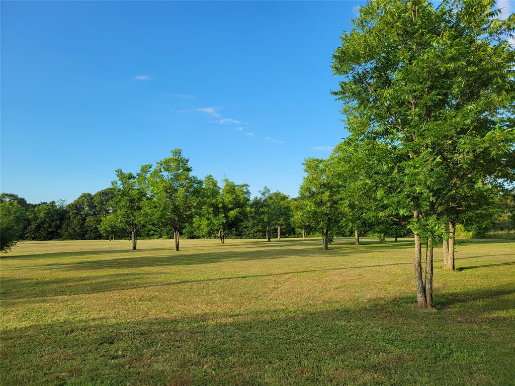 Mustang Creek Ranch - Residential