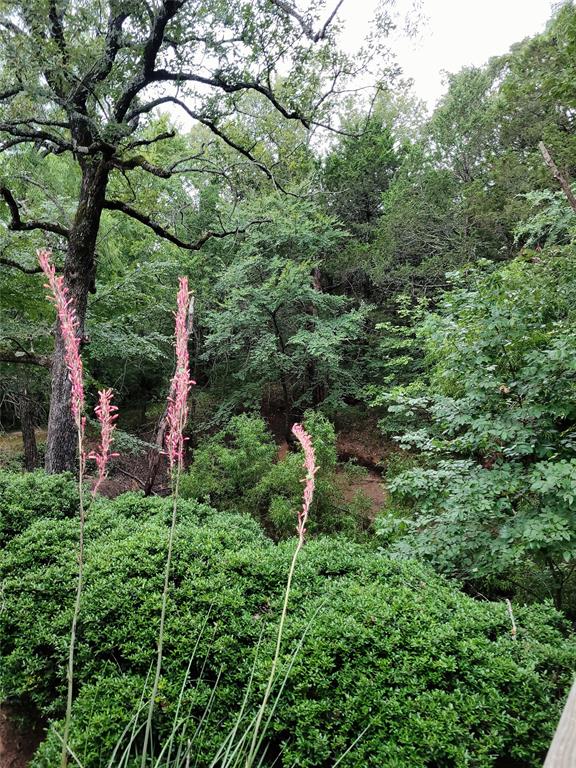 Mustang Creek Ranch - Residential
