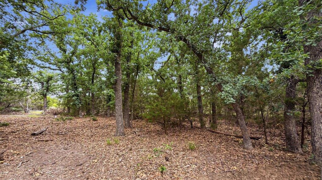 Escape to the beauty of the Texas Hill Country with this 10.01-acre tract, identified as Lot 97, Phase 6 of Rio Escondido Subdivision in Evant, Texas. The property is highlighted by mature hardwood trees and a seasonal creek that adds character and natural appeal to the landscape. Electricity and fiber-optic internet are available at the property line, providing the convenience of modern connectivity for a future homesite, weekend retreat, or remote-work lifestyle. A water well and septic will be needed to complete utility services. Situated within Evant ISD, this peaceful rural setting offers privacy and a relaxed country atmosphere without sacrificing accessibility. Hamilton, Gatesville, Goldthwaite, and Lampasas are all within approximately 30 minutes, while Brownwood, Temple, Waco, Killeen-Copperas Cove, and Stephenville can be reached in about an hour. With its central Texas location, attractive tree cover, and access to electricity and high-speed internet, this property presents an outstanding opportunity for a custom home, recreational getaway, or long-term investment in the Texas countryside.