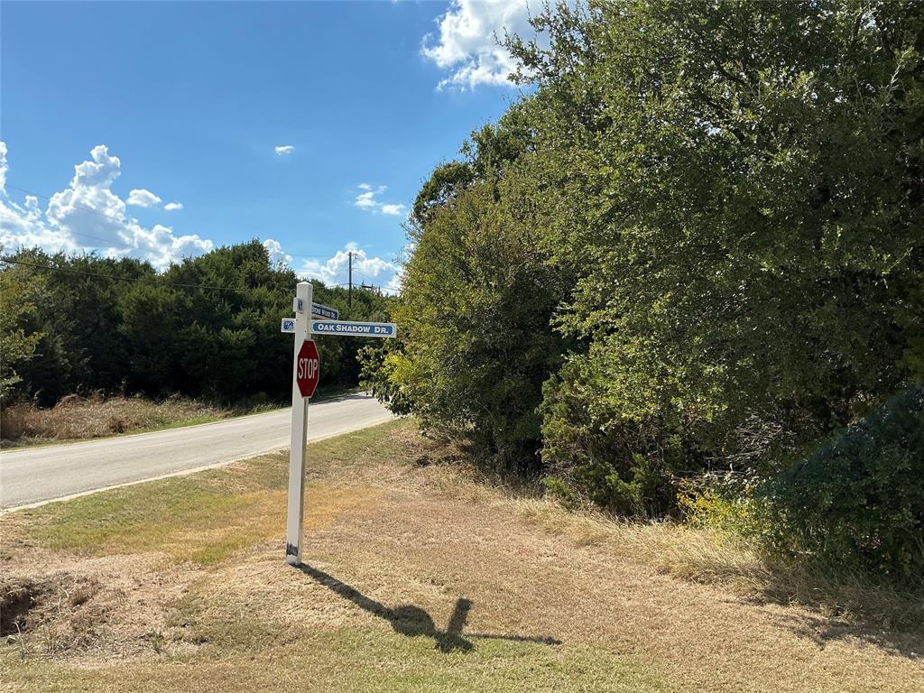 White Bluff #24 - Land