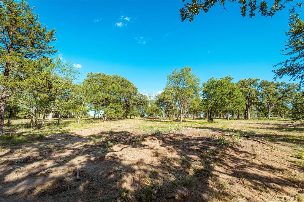 Rattler Ridge - Land