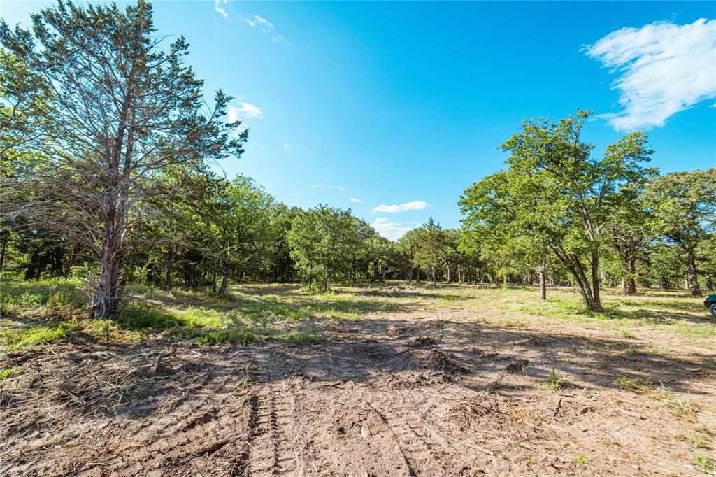 Rattler Ridge - Land
