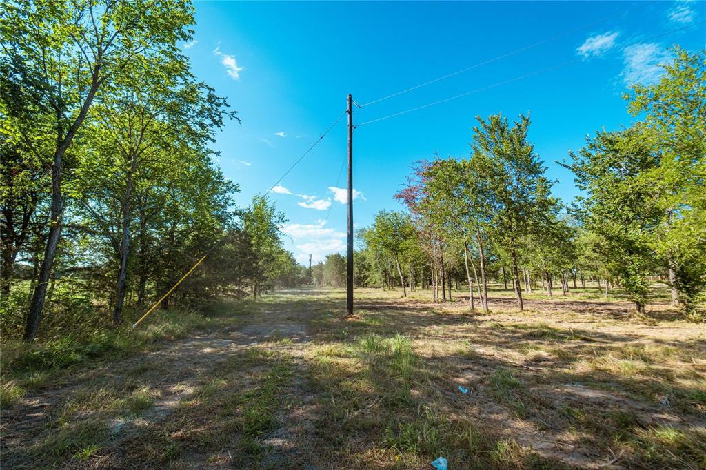 Rattler Ridge - Land