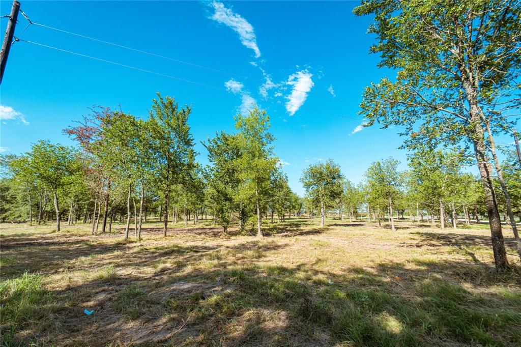 Rattler Ridge - Land