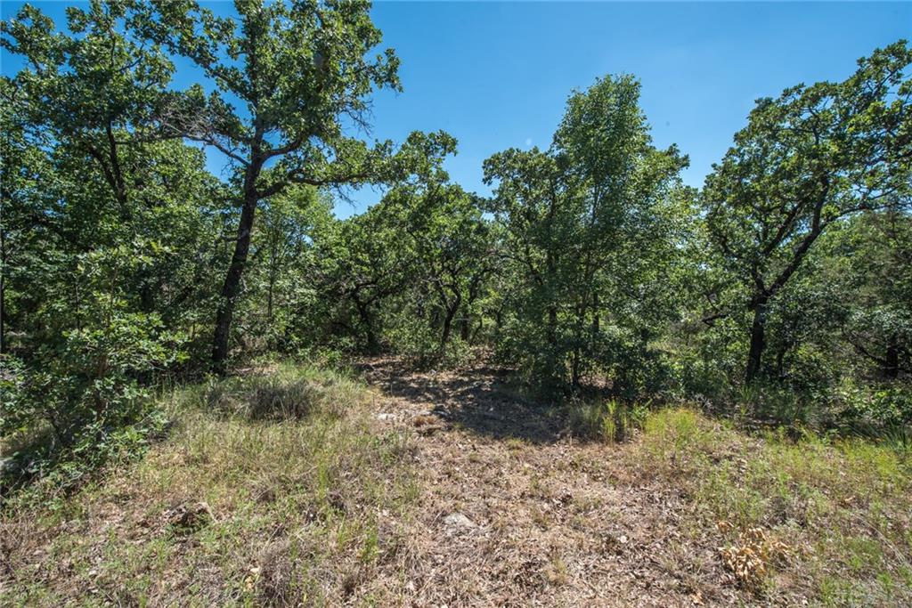 Located at the Gated 7R Ranch, this vista view lot offers a jaw-dropping view over a beautiful open canyon and hill country. Owners enjoy access to a robust list of facilities including 12,000 square foot Arthur L Ruff Center with workout equipment, aerobics loft, indoor lap pool, steam room, hot tub, game tables, movie theater, huge pool, sand volleyball, & horseshoes. The Cove on Lake McIntire includes a clubhouse on the shores of Lake McIntire with a pool, fishing pier, boats, & kitchen. The Eagles Nest is a trailhead connecting to the 260-acre Canyon Lake Nature Park with trails & fishing lakes.