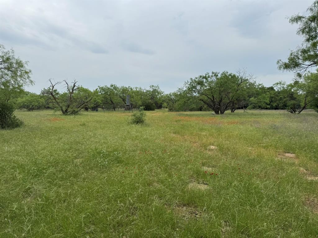 WAYLAND RANCHES - Residential
