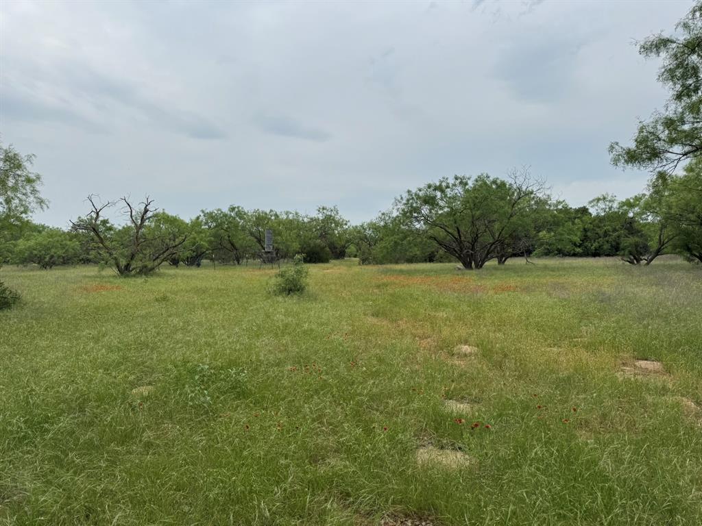WAYLAND RANCHES - Residential