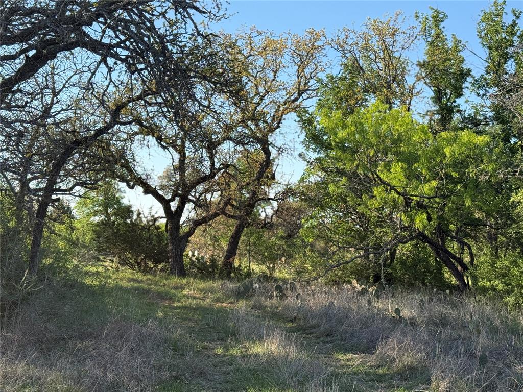 Brownwood Estates - Land
