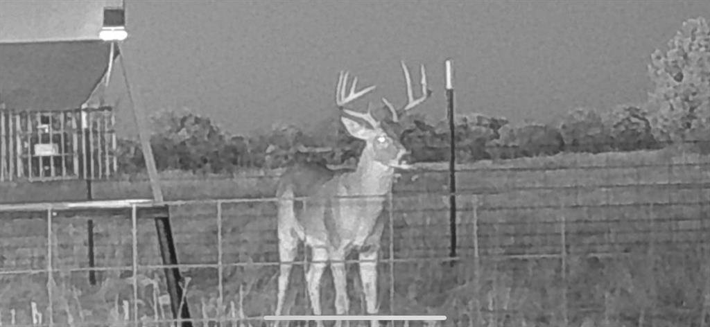 Brownwood Estates - Land