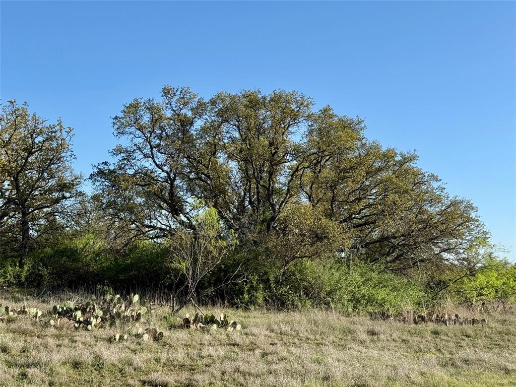Brownwood Estates - Land