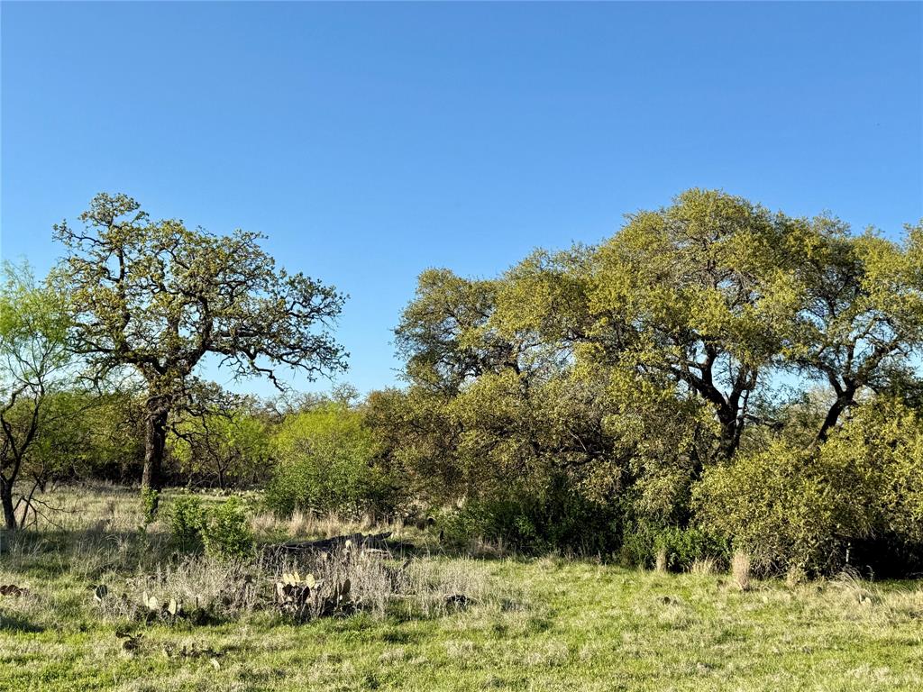 Brownwood Estates - Land