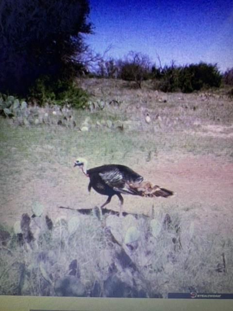 Brownwood Estates - Land