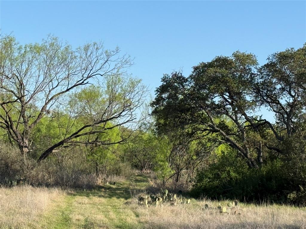 Brownwood Estates - Land