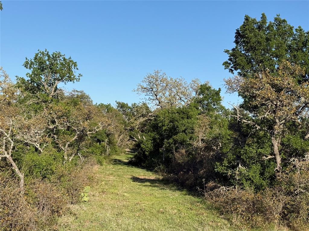 Brownwood Estates - Land