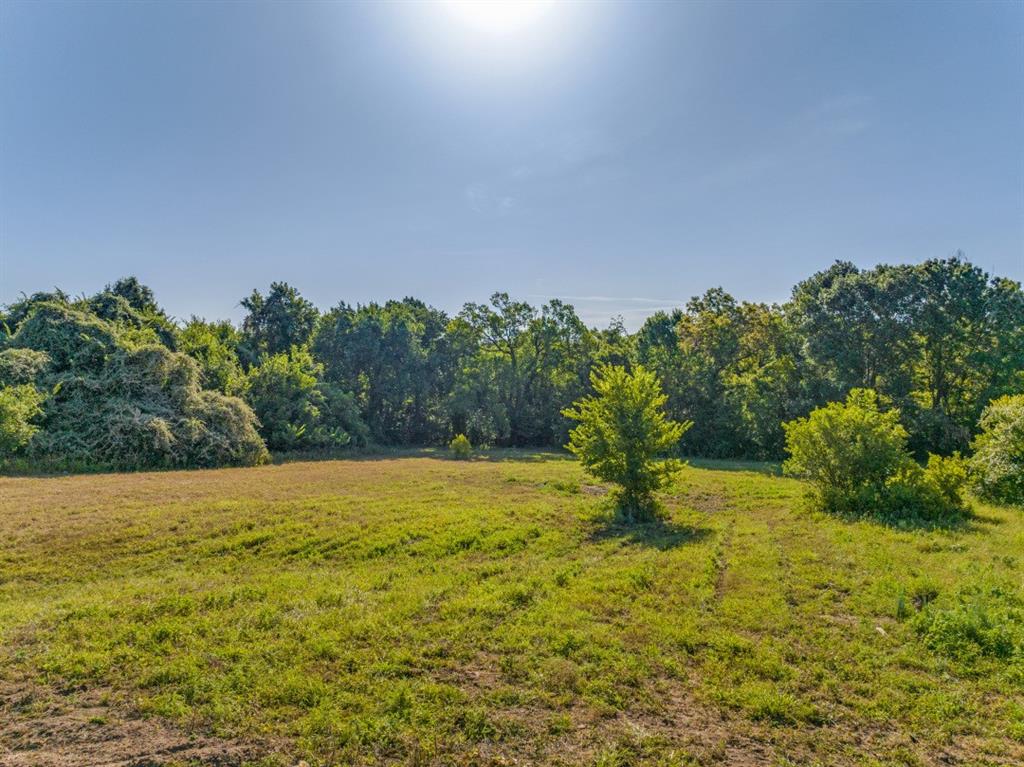 Springtown - Land