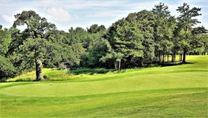 Shoal Creek - Land