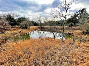 Shoal Creek - Land