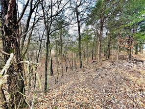 Shoal Creek - Land