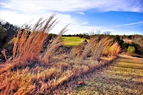 Shoal Creek - Land