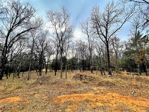 Shoal Creek - Land