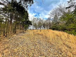 Shoal Creek - Land
