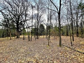 Shoal Creek - Land