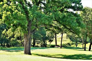 Shoal Creek - Land