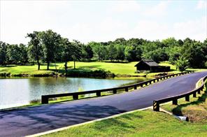 Largest lot on the market in Rock Creek! This 1.1 acre lot has a small pond and is located in Shoal Creek village. Lots of trees on this lot and only an 1800 minimum build. Shoal Creek is on the Marina side, walking distance to the gorgeous marina and Lake Texoma. Rock Creek is an amazing resort with 1300 acre resort. No required build date. Beautiful Nicklaus designed golf course ranked 19th in TX by Texas Outside. Onsite restaurant, marina, salt water pool, playgrounds, parks and fitness center. Top rated Cross Timbers hiking trail runs through the community. Gated, 24 hour security. Marina has boat rentals, slips, guided fishing trips. Golf membership of $100 per month includes 6 rounds of golf!