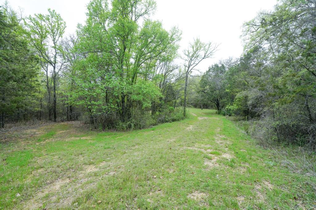 HT Henry AKA Lodal Land Tr 7 - Residential