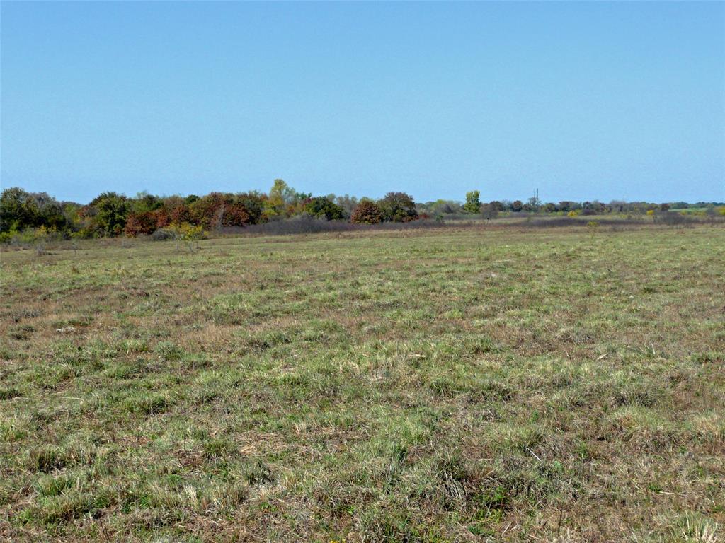 A0301 GOODMAN LEWIS C; - Land