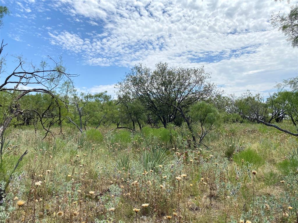 Mystic Eastwood Acres - Land