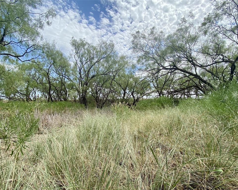 Mystic Eastwood Acres - Land