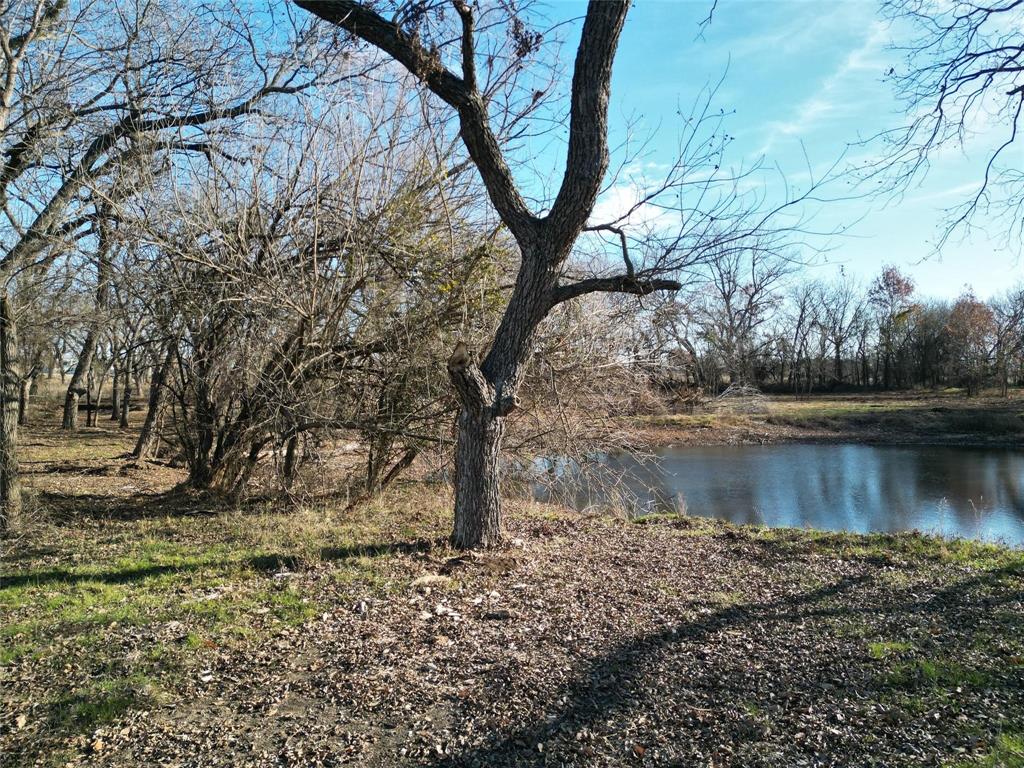 Matthews T - Land