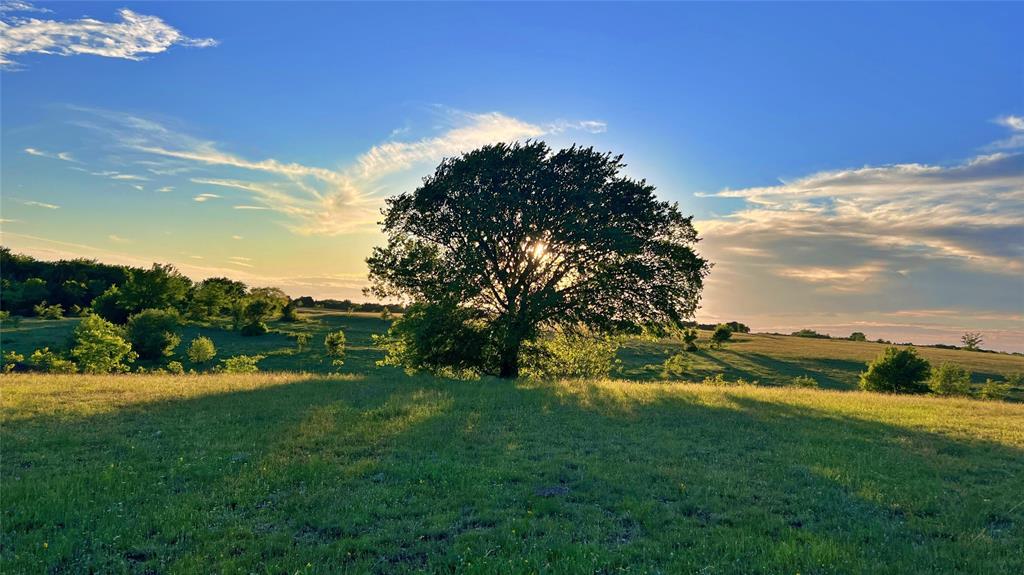 see legal - Land