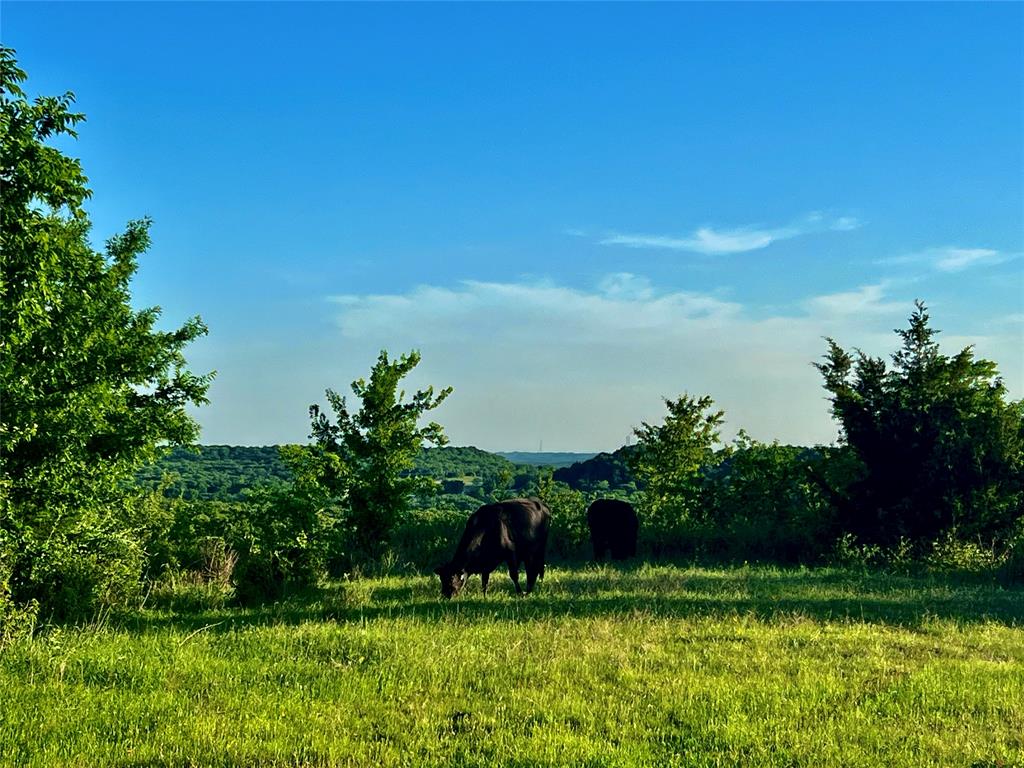 see legal - Land