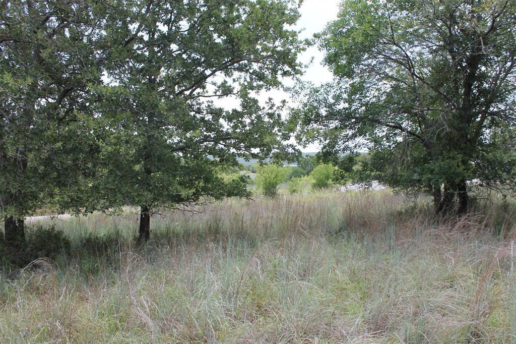 Interior lot with 1.5 acres in beautiful North Star Pointe on Lake Bridgeport. This is an upscale gated community, North Star Pointe. Lake Bridgeport, a 12,000 acre lake that is a first choice of boaters, skiers, fishermen, and other water sports. The community features its own private water system, paved streets, underground utilities, on one plus size acre lots. The community pool and boat ramp at North Star Pointe are available to all owners. Come enjoy the lake.