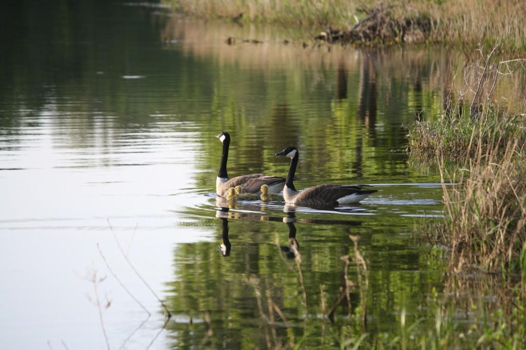 Safari Waters Ranch - Land