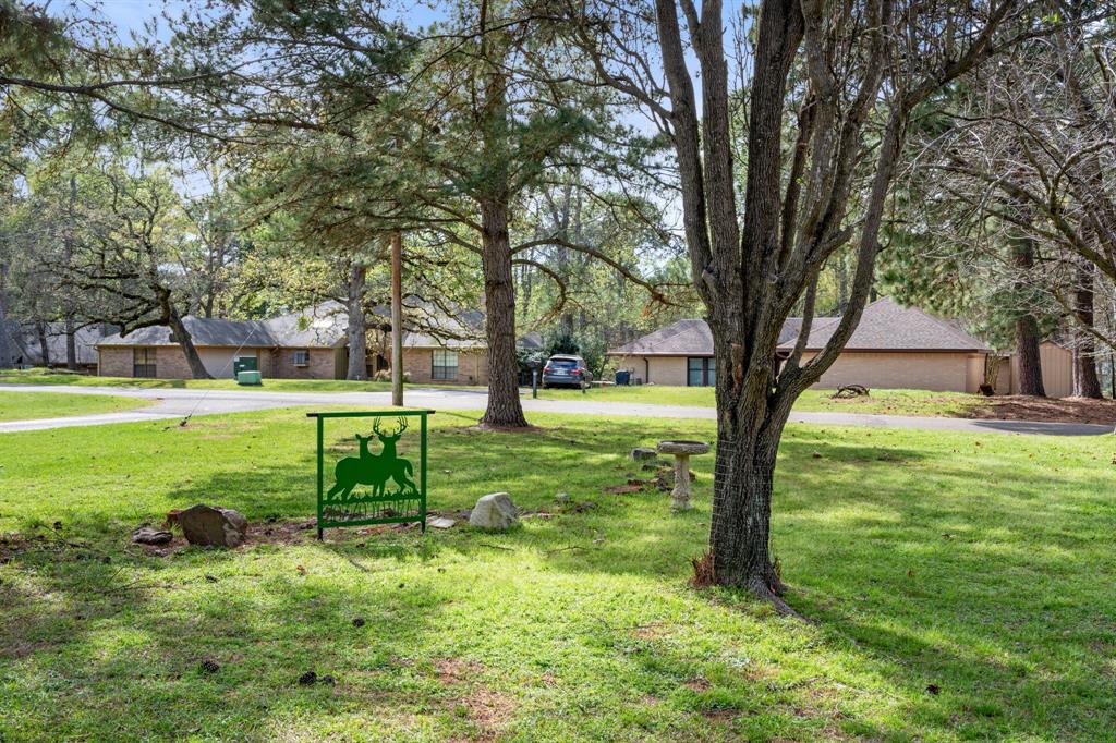 Holly Lake Ranch - Residential
