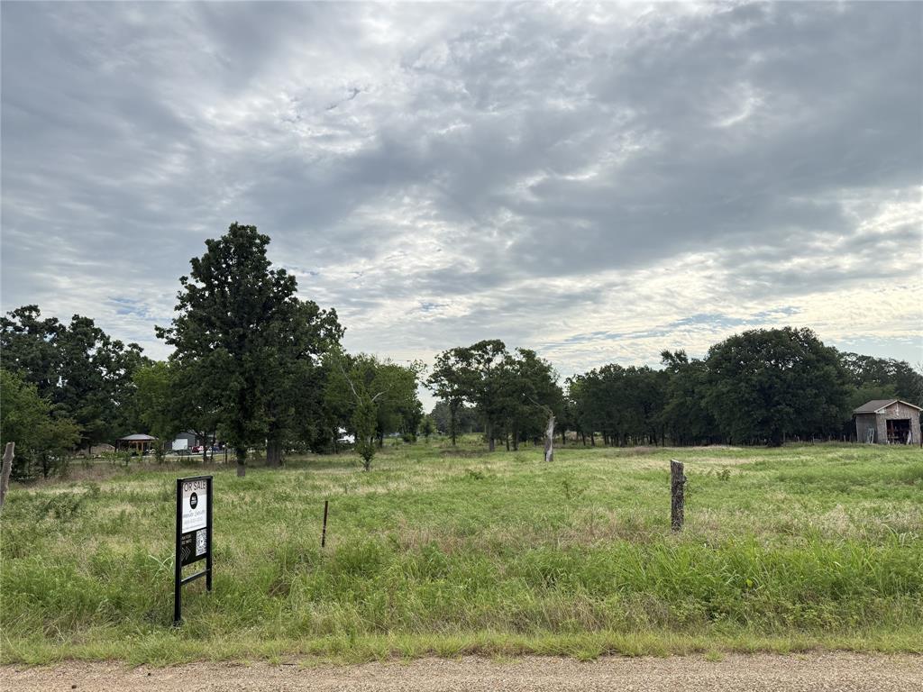 Exceptional opportunity to own 10 acres of unimproved land on County Road 301 with endless potential! Whether you're an investor looking for your next project, planning to build your dream home, or searching for the perfect property for cattle and agricultural use, this versatile tract checks all the boxes. With no known restrictions, the possibilities are endless from a private country estate to a ranch, homestead, or future investment.
This property qualifies for an AG exemption, offering potential tax benefits, and provides the privacy and wide-open space that country living is known for. Enjoy the freedom to create your own vision while still being conveniently located to nearby towns and amenities. Don't miss this rare opportunity to invest in a beautiful piece of Texas land with unlimited potential.