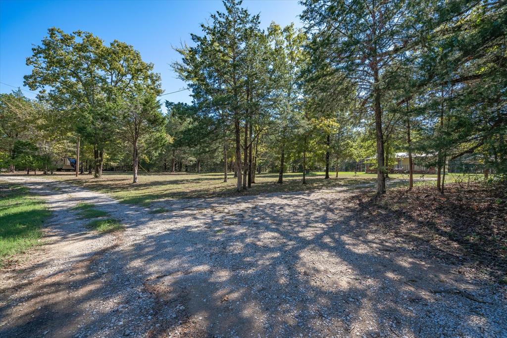 A0188 Rojas Francisco De Acres - Commercial Sale