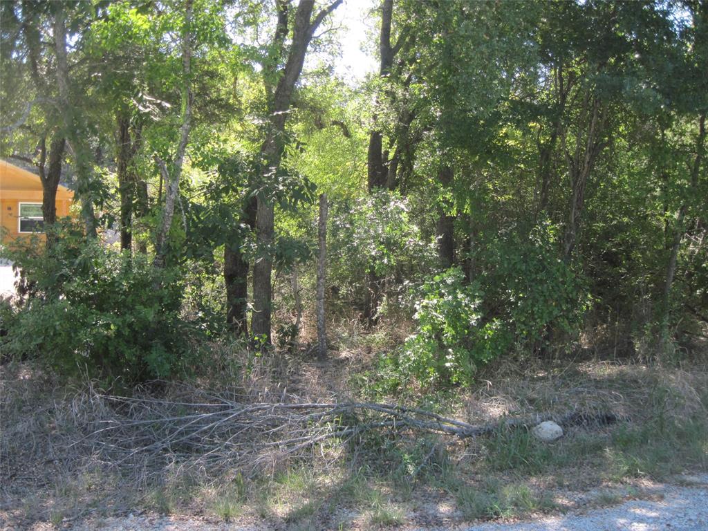 .23 Acre  10,000 SQ. FT. Lot on a cul-de-sac, HOA. Requirements are min 800 SQ. FT. Single wide manufactured homes allowed. Electricity, high speed internet, and water are at the street. HOA permit is 1K. This lot will require a septic system  HOA fee is $105 per year. Property is not in a flood zone. Go to fema flood maps.