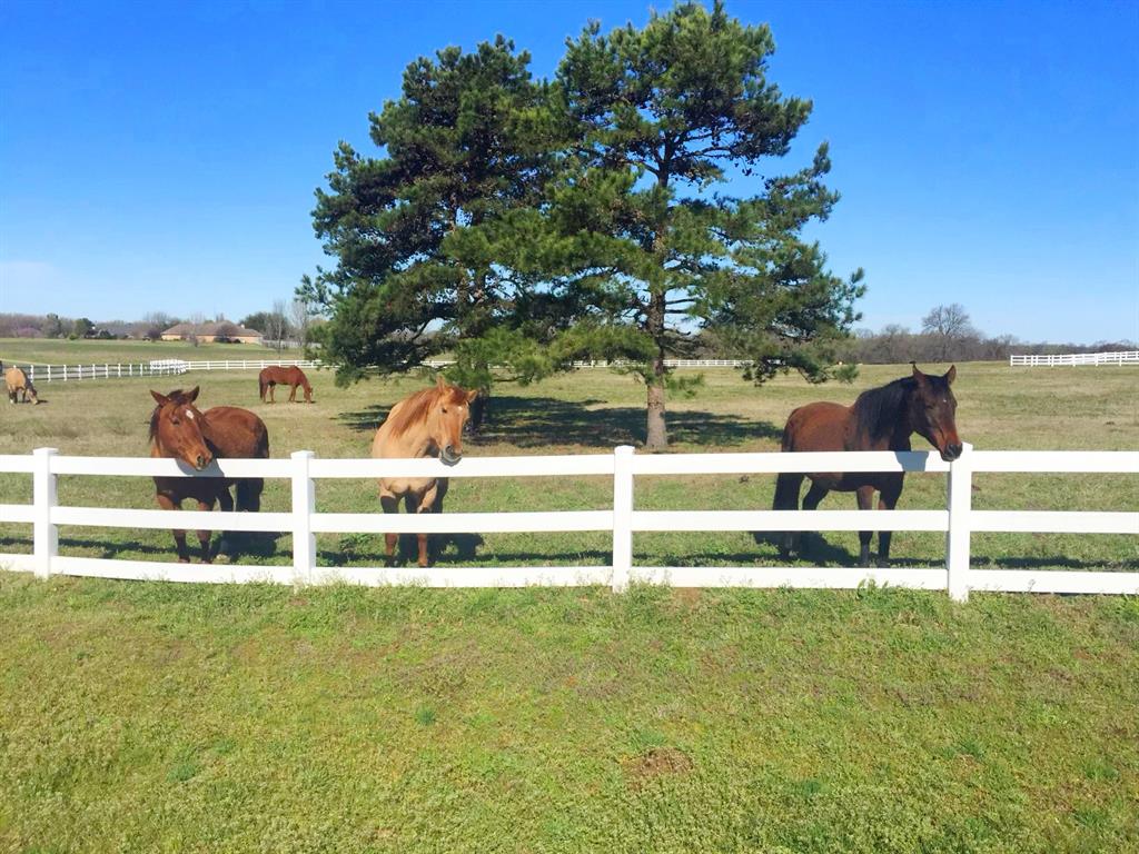 Long Acres - Residential