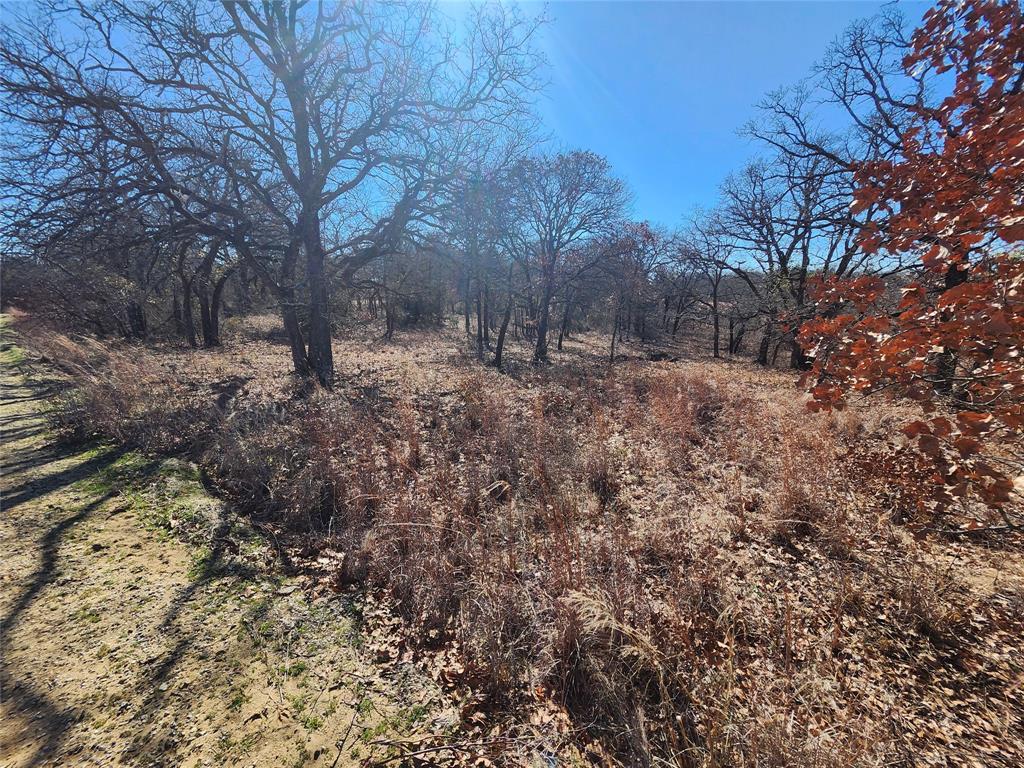 Nocona Hills - Land