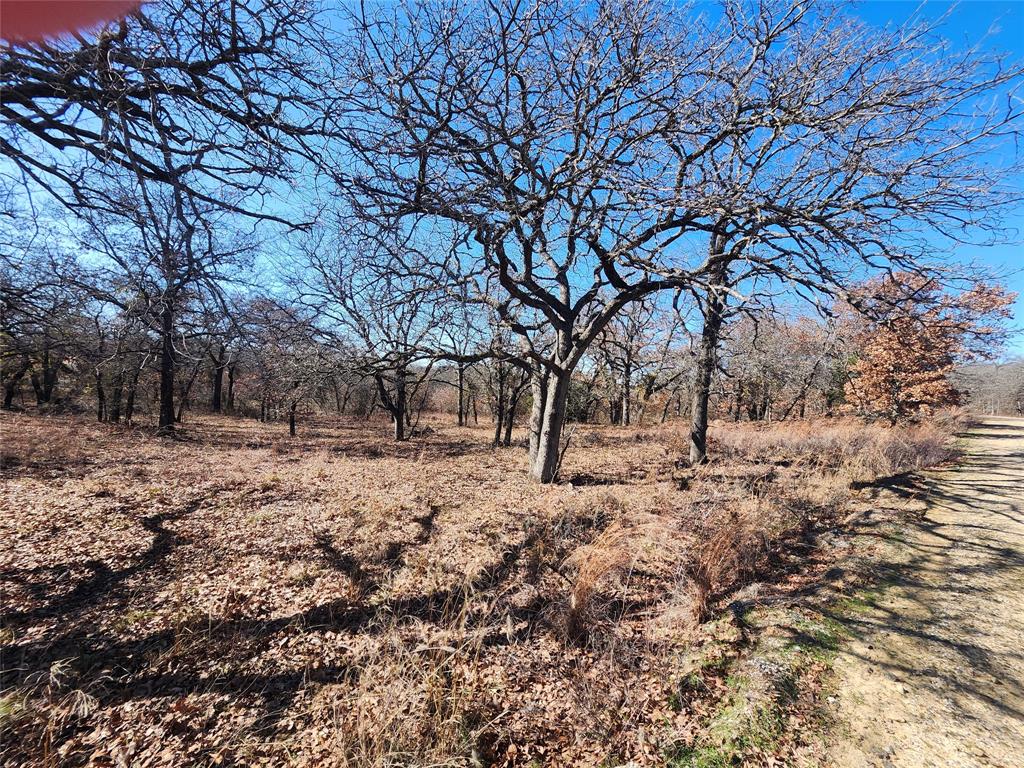 Nocona Hills - Land