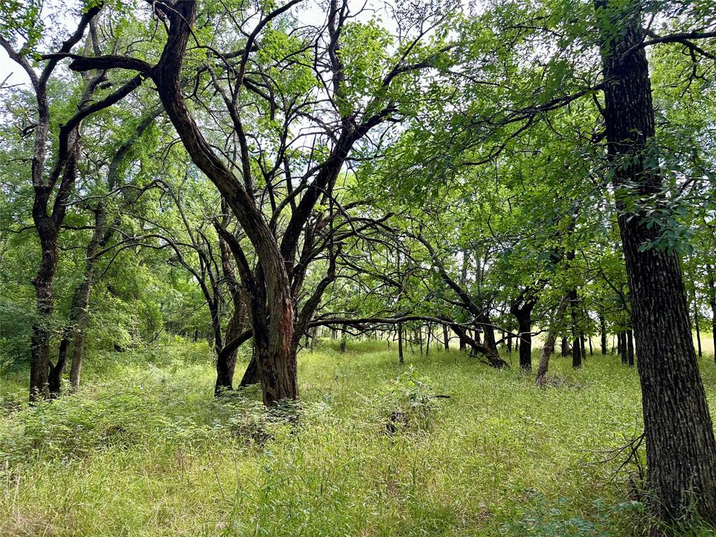 0370 J Woods Tract 1-1 25 ac & 138.040 - Residential